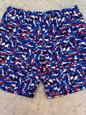 COLUMBIA Boys Bathing Swim Suit - Large - 14/16